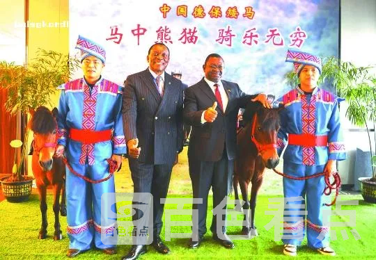 微信截图_20240423091445.webp