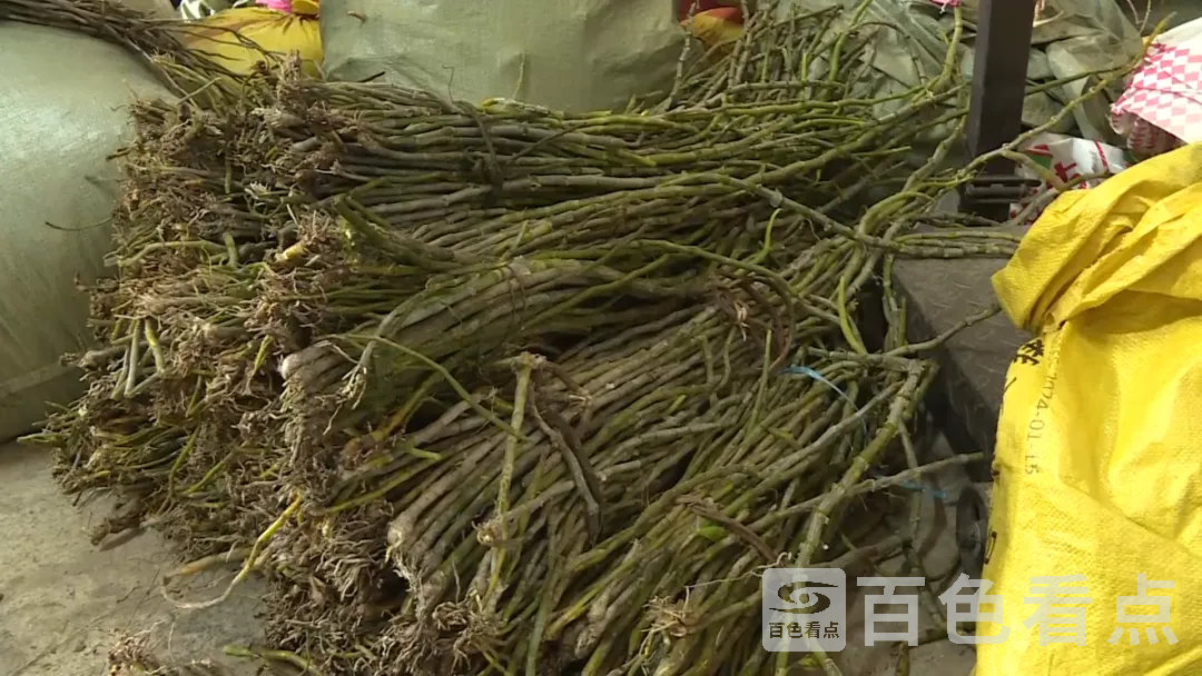 640_wx_fmt=png&from=appmsg&tp=webp&wxfrom=5&wx_lazy=1&wx_co=1 (5).webp