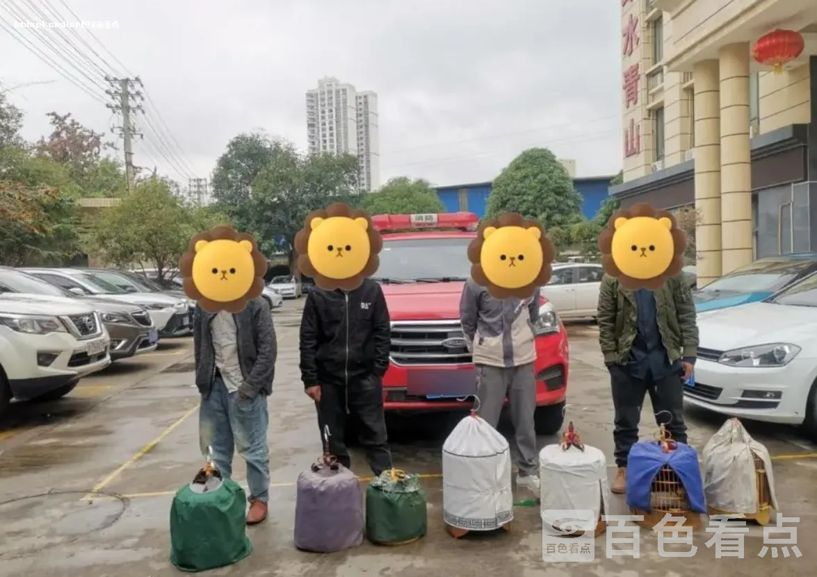 微信截图_20240719131325.webp
