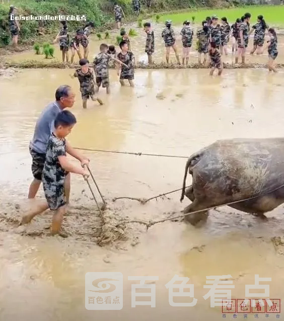 微信截图_20240722041526.webp