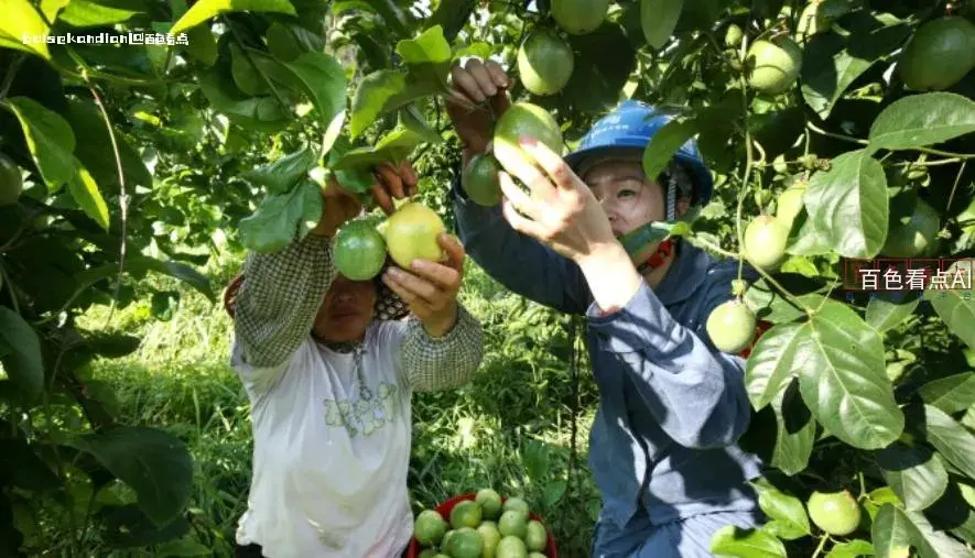 微信截图_20240812200512.webp