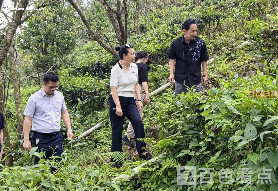 微信截图_20240920024208.webp
