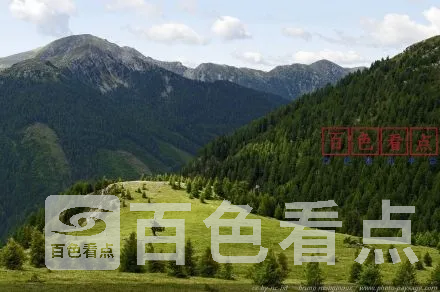 72635b6agw1ezp1l0sapkj219u0ugn85.webp
