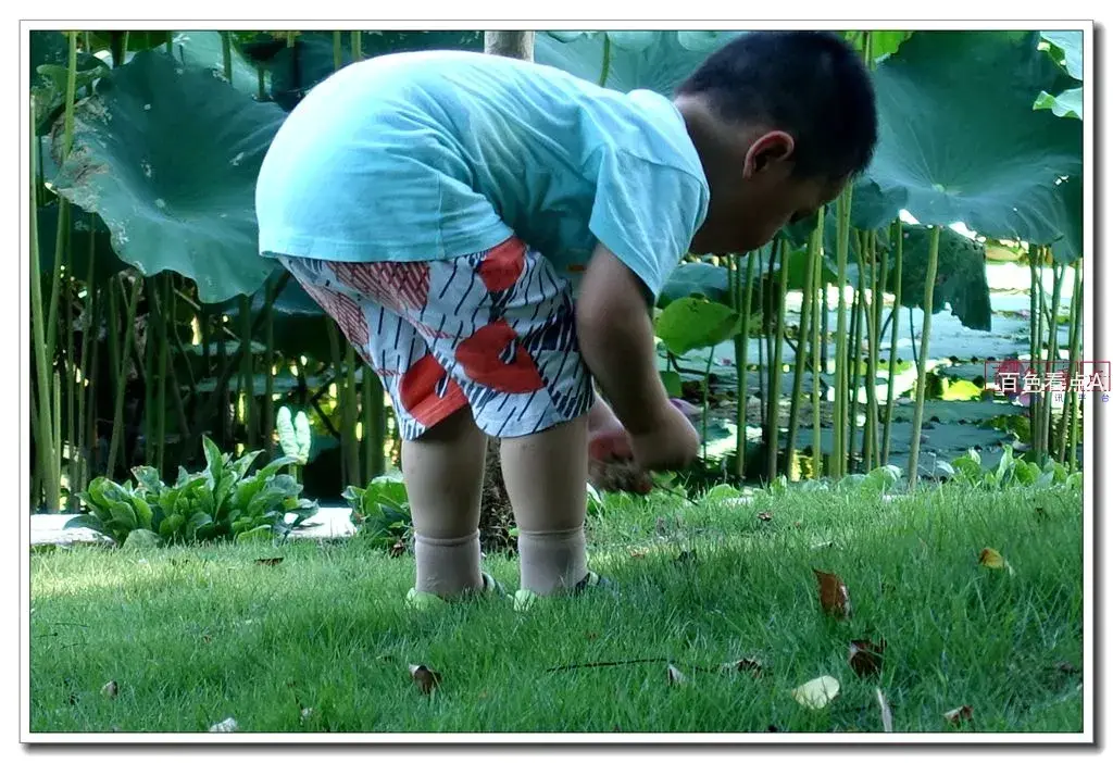 DSC08434_副本.webp