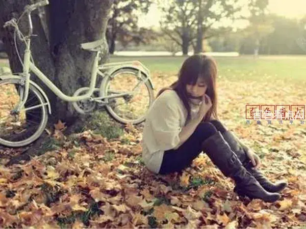 迷茫.webp