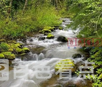 110_20090730192904146Lr.webp