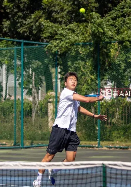 微信截图_20241112142539.webp