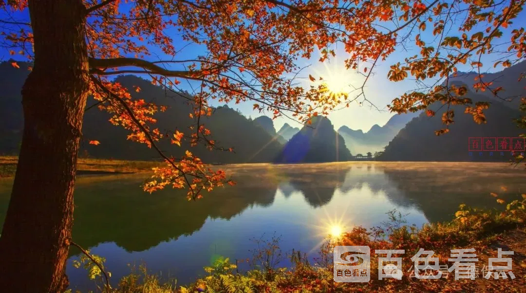 微信图片_20241122165232.webp