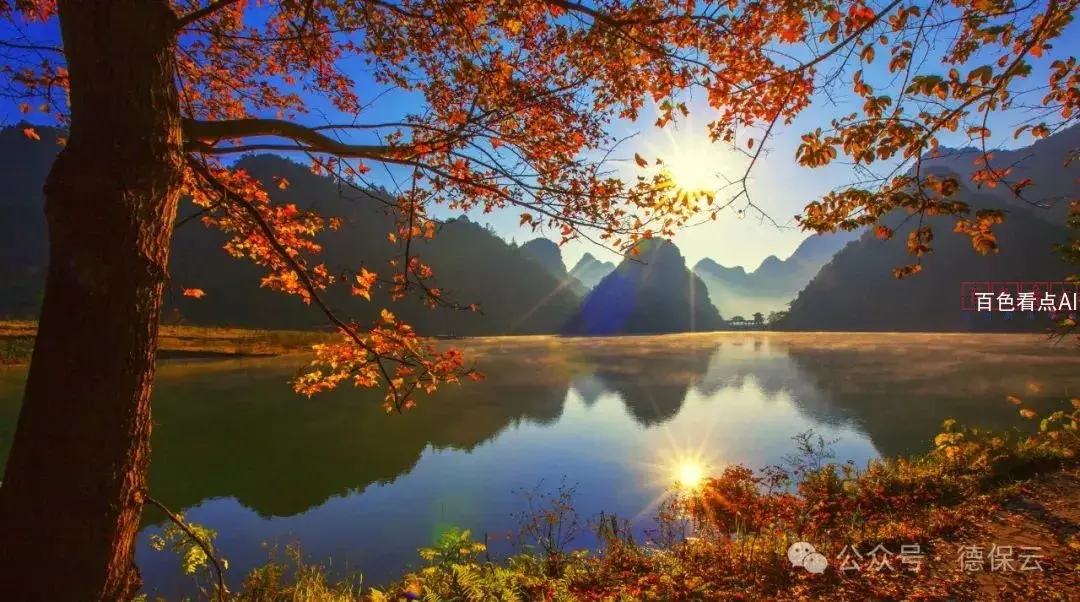微信图片_20241122165232.webp