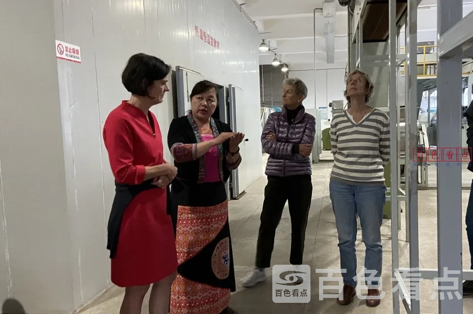 微信截图_20241128145350.webp