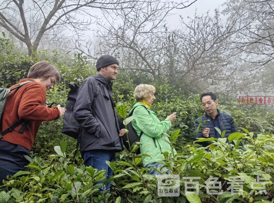 微信截图_20241128145326.webp
