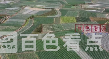 微信截图_20241212214522.webp