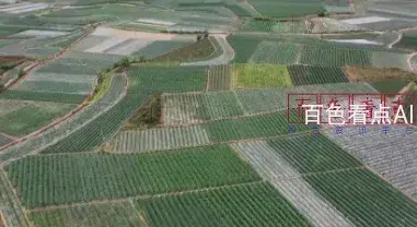 微信截图_20241212214522.webp