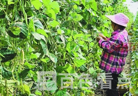 微信截图_20241215161817.jpg