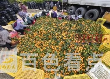 微信截图_20241219210808.webp