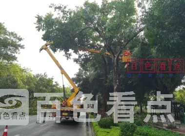 微信截图_20241220210530.webp