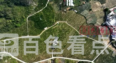 微信截图_20241224193852.webp