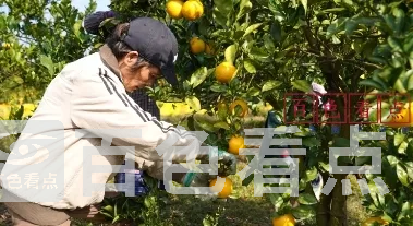 微信截图_20241224193830.webp
