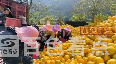 微信截图_20241224193840.webp