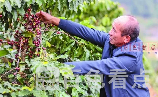 微信截图_20241225194028.webp