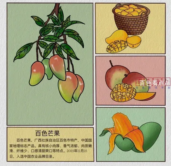 微信截图_20250108202723.webp