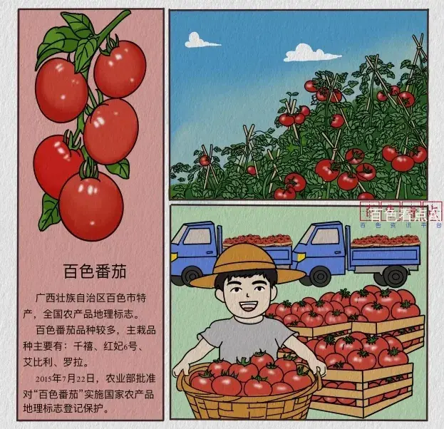 微信截图_20250108202754.webp
