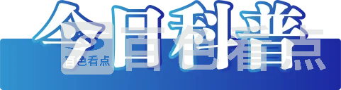 640_wx_fmt=other&wxfrom=5&wx_lazy=1&wx_co=1&tp=webp (1).webp