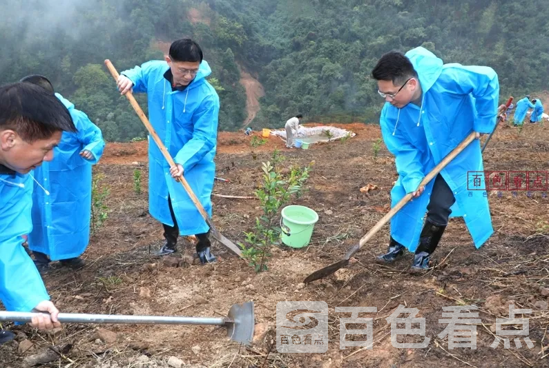 微信截图_20250311223352.webp