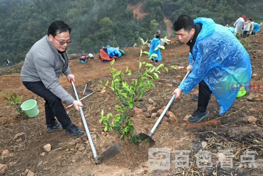微信截图_20250311223427.webp