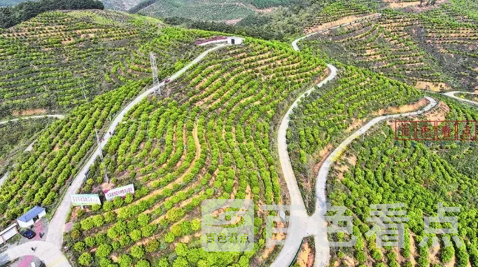 360截图20250414030008535.webp