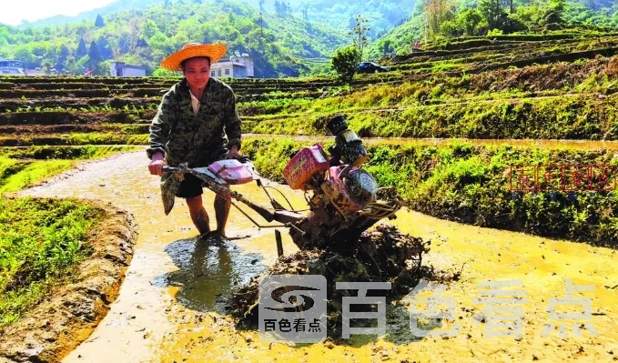 微信截图_20250511012239.webp