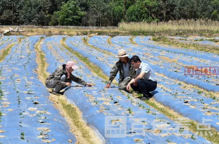 微信截图_20250518114708.webp