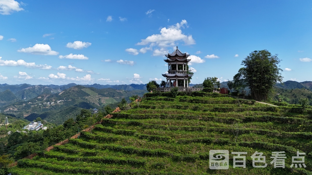 bc3cb45f61fa193c7f2c66567fb481d3 1.jpg