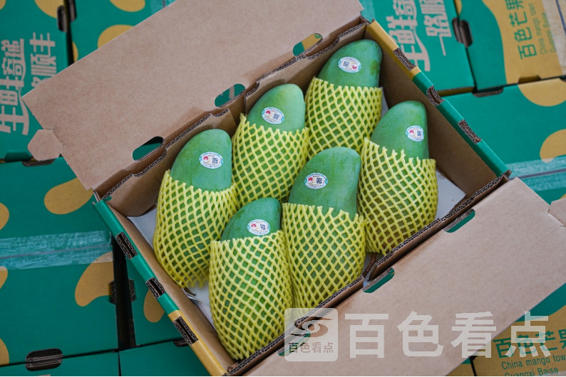 276640_d89fa514-3572-4dd1-87ef-30da91d1965c.png