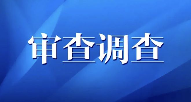 百色市那坡县开发投资有限公司党支部书记、董事长苏志忠被查！