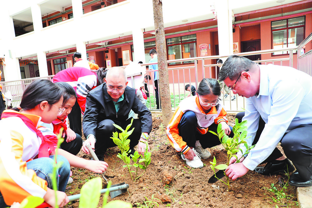 学生化身“小药农” 学校有了“百草园”  百色市中医医院开展中草药种植进校园活动