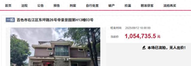 百色市一栋江景大别墅拍卖，才105万都流拍，等降价再出手？