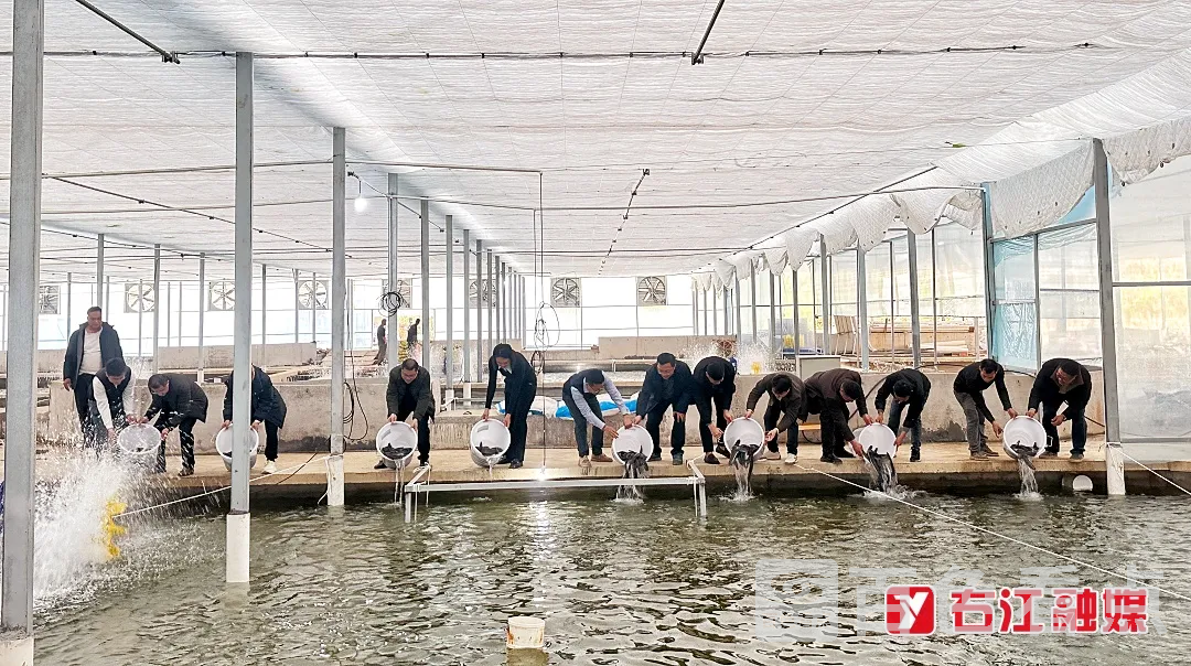 640_wx_fmt=jpegfrom=appmsgtp=webpwxfrom=5wx_lazy=1 1.webp