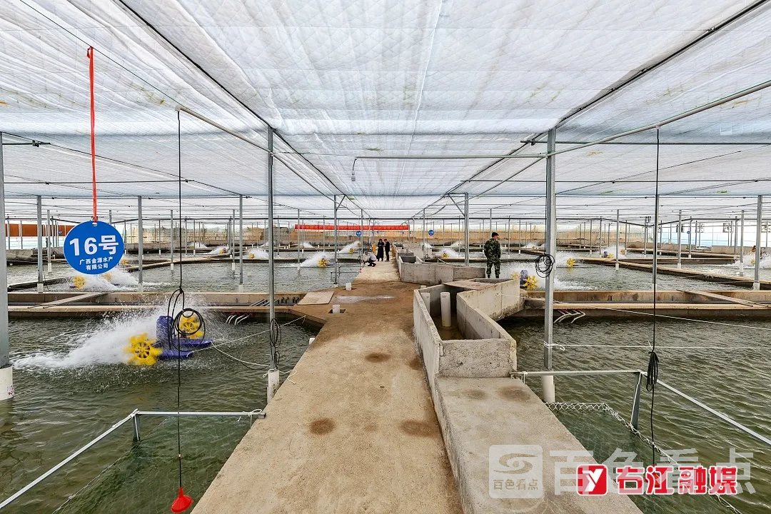 640_wx_fmt=jpegfrom=appmsgtp=webpwxfrom=5wx_lazy=1 2.webp