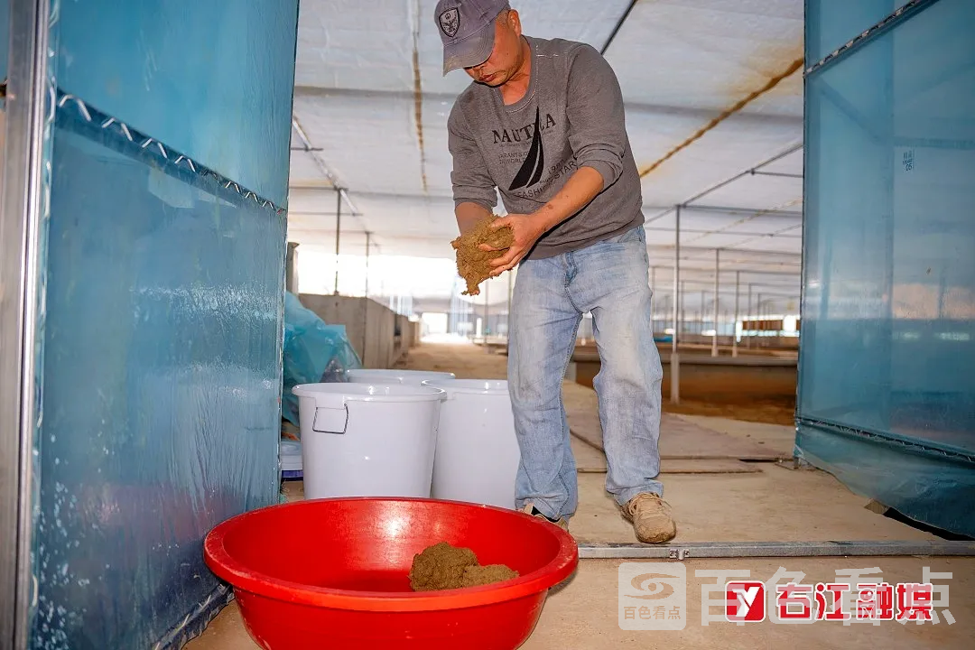 640_wx_fmt=jpegfrom=appmsgtp=webpwxfrom=5wx_lazy=1 4.webp