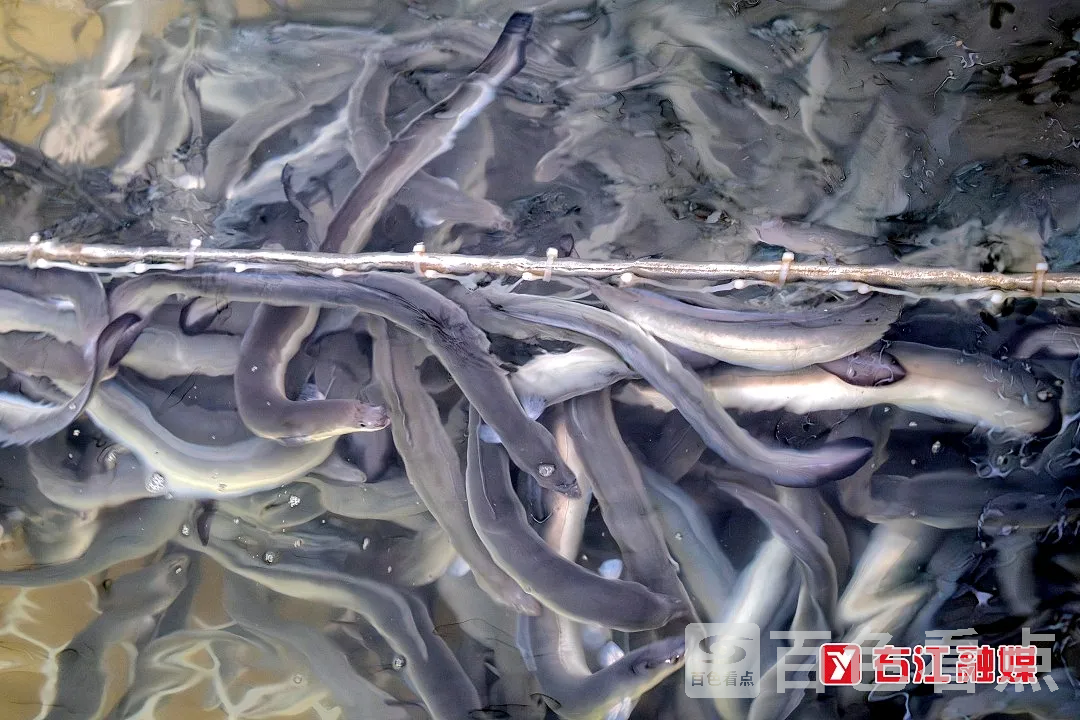 640_wx_fmt=jpegfrom=appmsgtp=webpwxfrom=5wx_lazy=1 5.webp