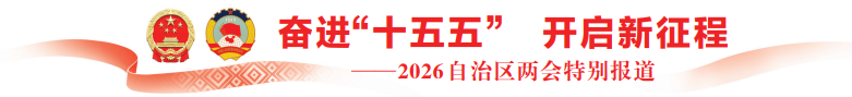 百色市代表团：铝业向新提质 沿边开放提速丨代表团审议直击