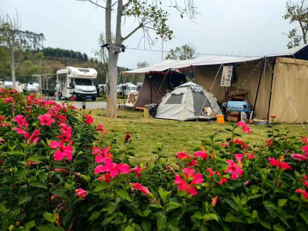 百色这个度假区火了！春节假期以来6万人次打卡，日均200辆房车