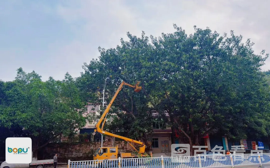 640_wx_fmt=jpegtp=webpwxfrom=5wx_lazy=1 3.webp