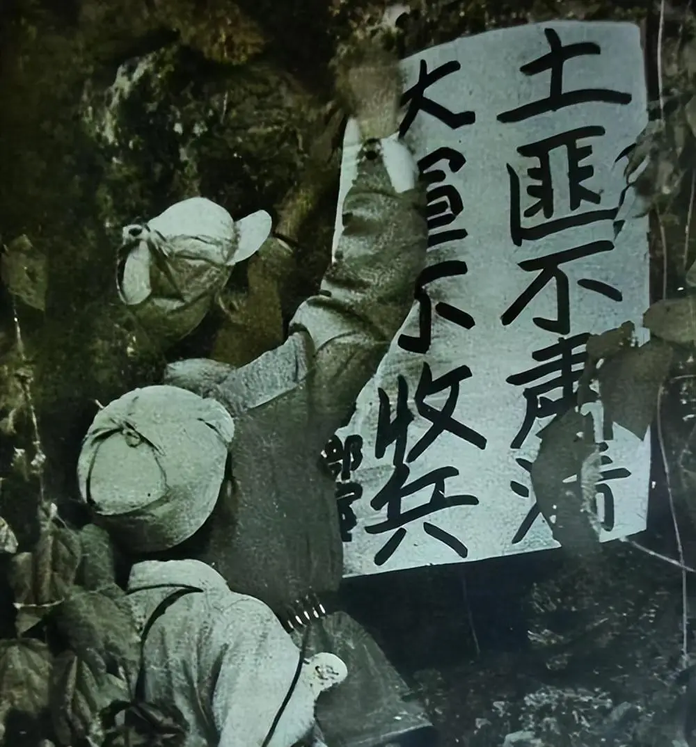 凌云逻楼这个屯只有十多户人家，为何中青年男人都去当土匪了？