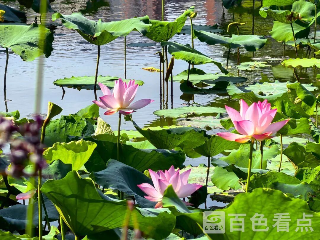 d5009eb21bd0d5cd75b3c1f1dde69ae1.jpg