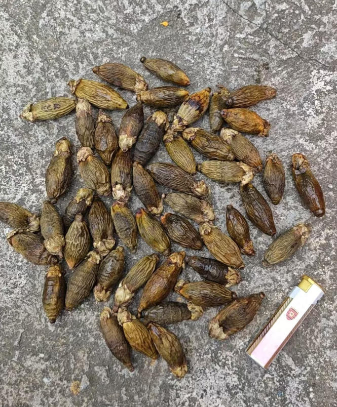 谁在接连出手？百色8.5吨罚没槟榔干拍出45万，9人抢了29轮