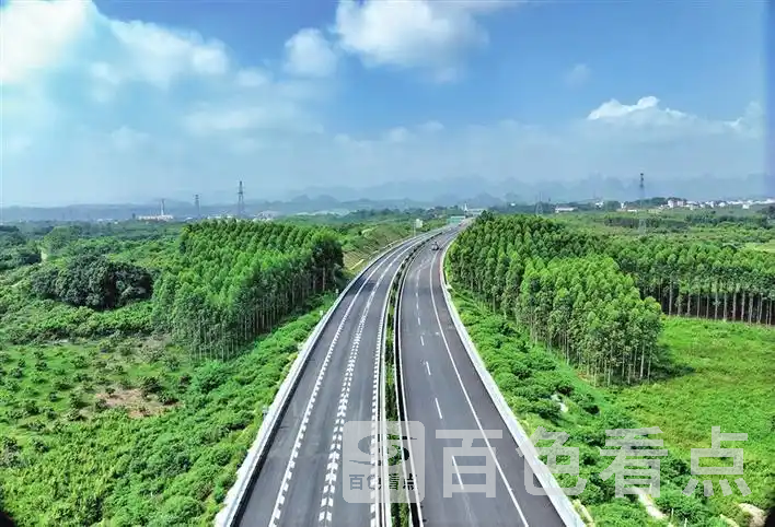 e61190ef76c6a7ef05f9f0e2b484a443f1de66a3.webp
