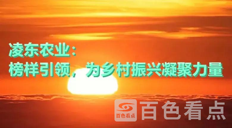 v2-b58bc63d5f836ff92312096d62cdfb57_1440w.jpg